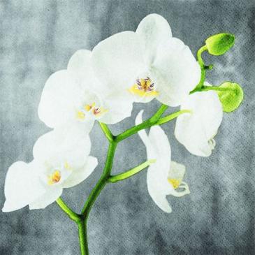 Frokostserviet - 33 x 33 cm - Orkide grå hvid